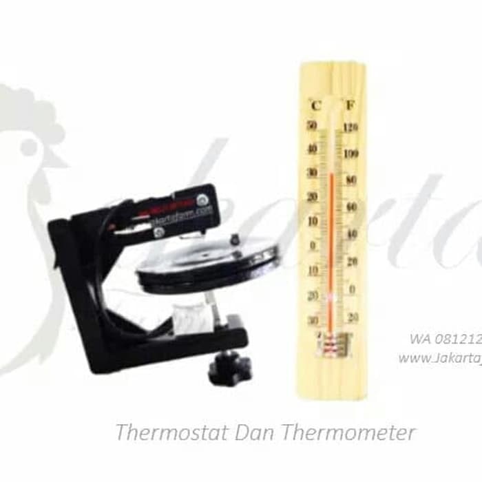 Thermostat kapsul dan Thermometer Mesin penetas telur