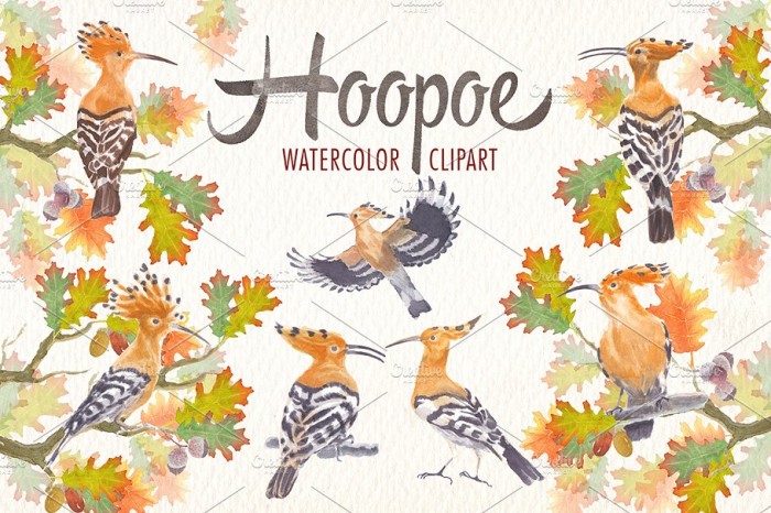 Watercolor Hoopoe Bird Clipart - Vector Designs