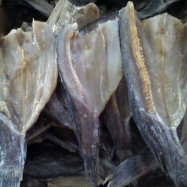

IKAN ASIN ( gabus/siam)