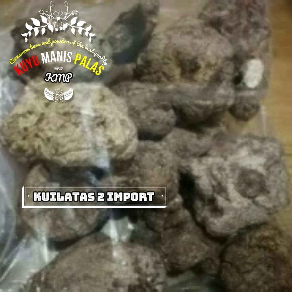 

Jamur Susu Harimau No 1 Indonesia Export Quality 100 gr up