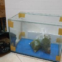 Aquarium Kaca Ukuran 40x25x28cm Cm Kaca Bening Mulus Ketebalan