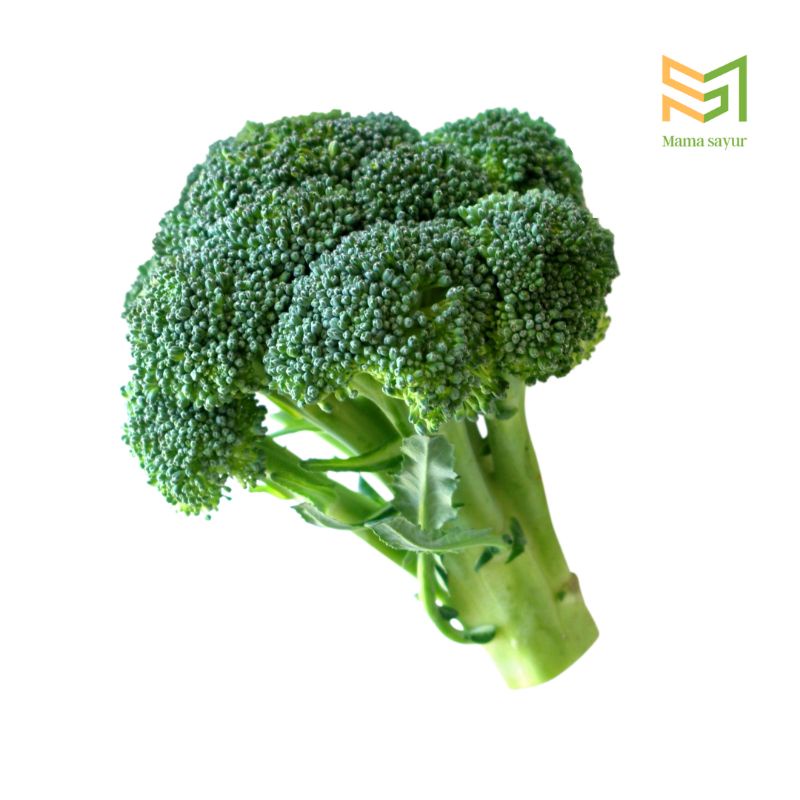 

Brokoli Hijau Segar per pack