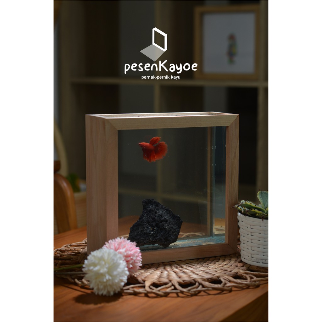  Aquarium  Cupang Paludarium Unik  Kayu  Shopee Indonesia