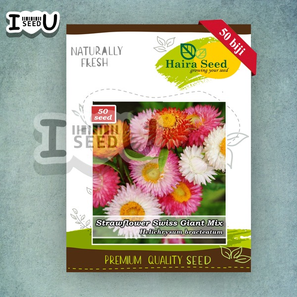 Haira Seed Bibit-Biji Bunga Strawflower Swiss Giant Mix