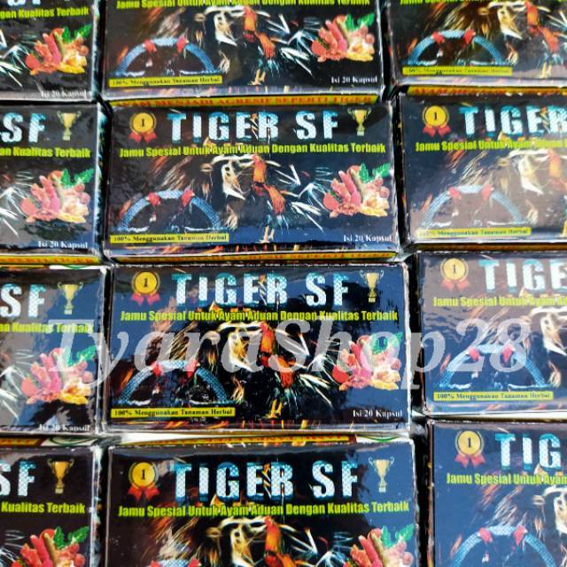 TIGER SF ayam laga