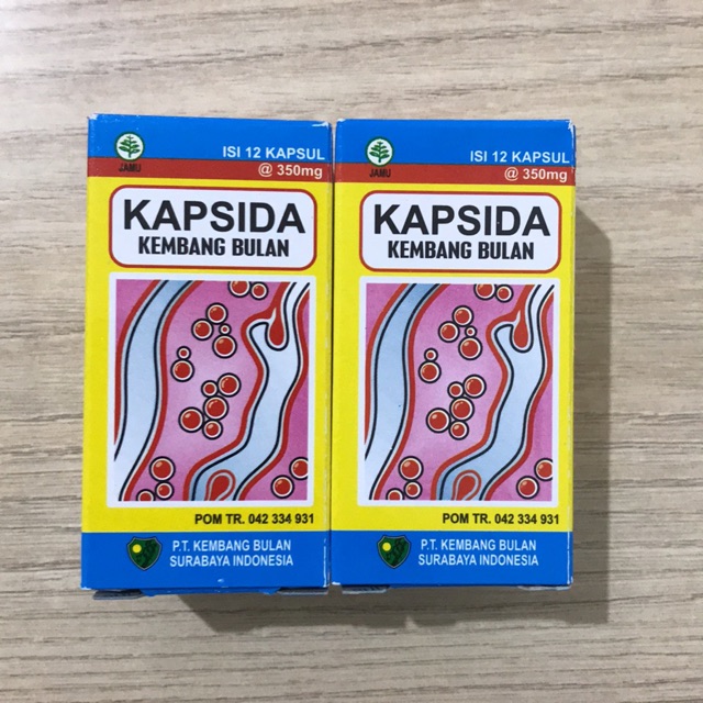 Kapsida