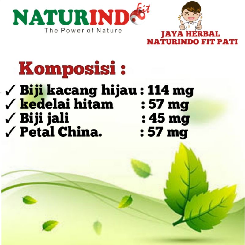 Obat Patah Tulang Dan Retak Obat Penyambung Tulang Nutrisi Tulang - Tulang Sehat & Kuat Herbal Cabone-2