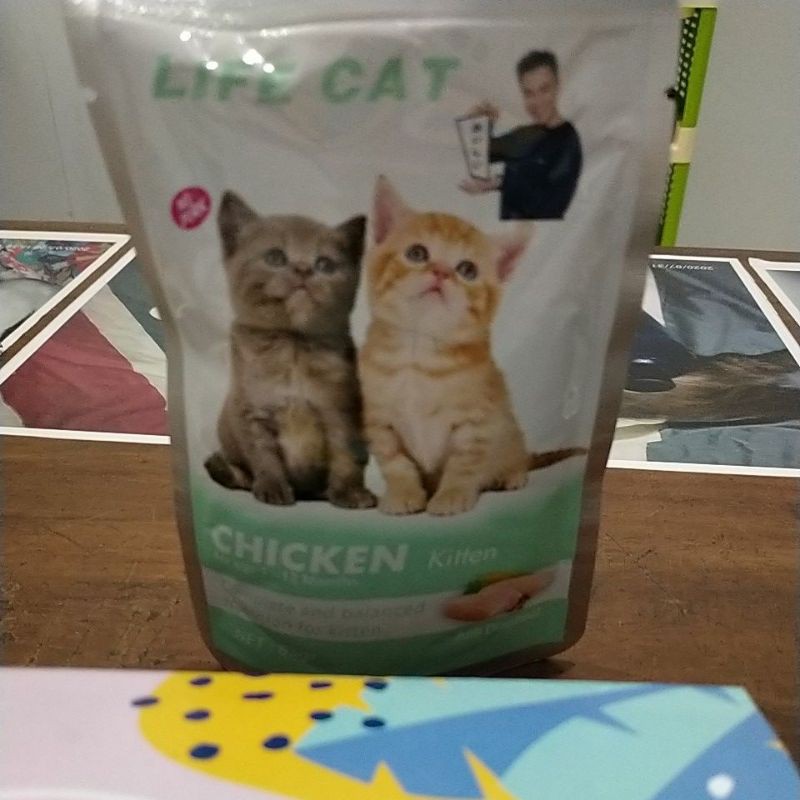 Life cat kitten
