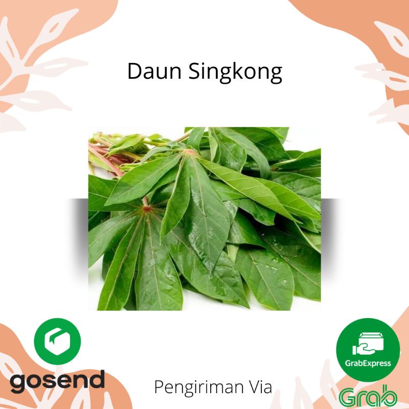 

DAUN SINGKONG SAYURAN PER IKAT