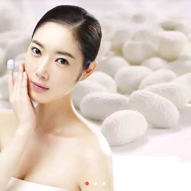 Cocoon / Kepompong Ulat Sutra