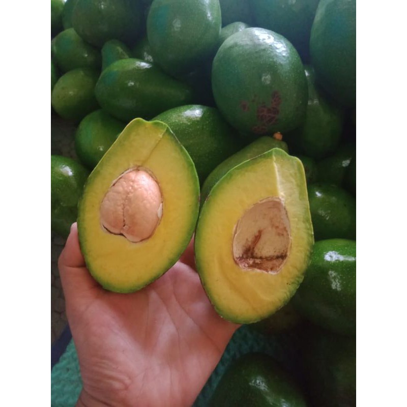 

ALPUKAT MENTEGA BUAH PREMIUM SUPERMARKET