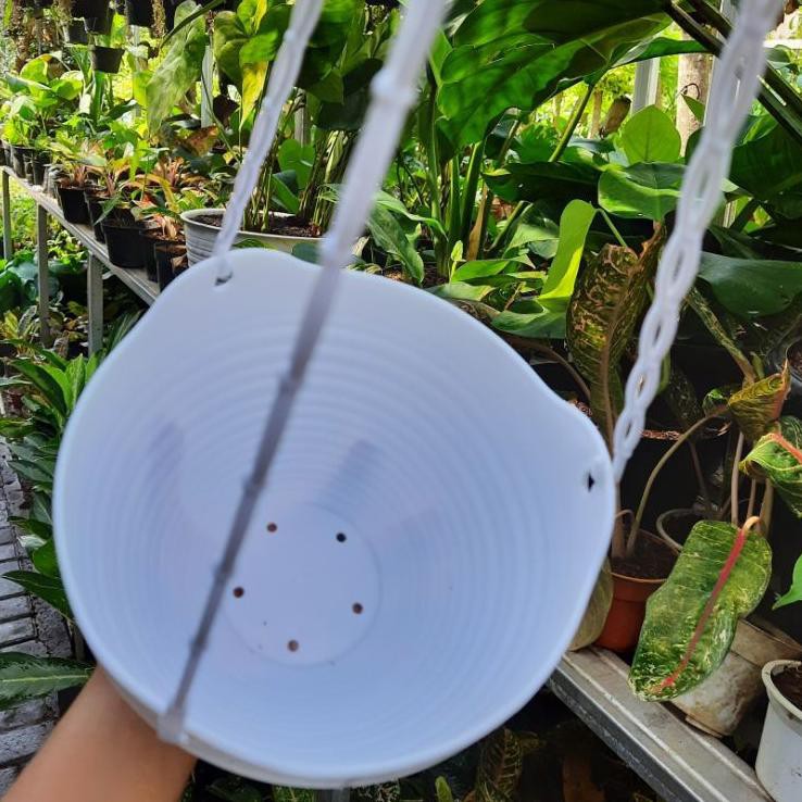 【project】 POT BUNGA GANTUNG LOVENIA GGS 8852 PUTIH / POT PLASTIK