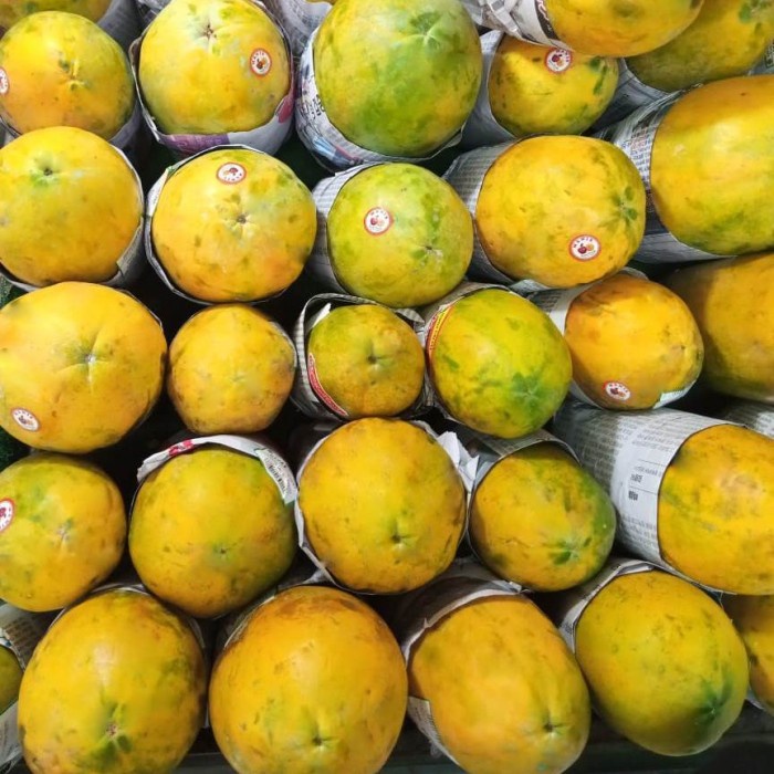 

Buah Pepaya california 0.7-1kg/pcs