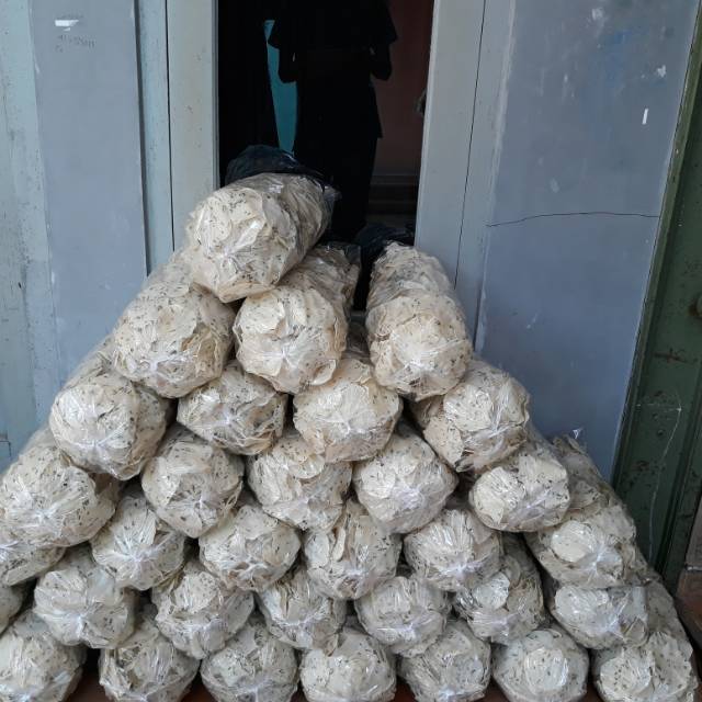 

Opak wonosobo humairo