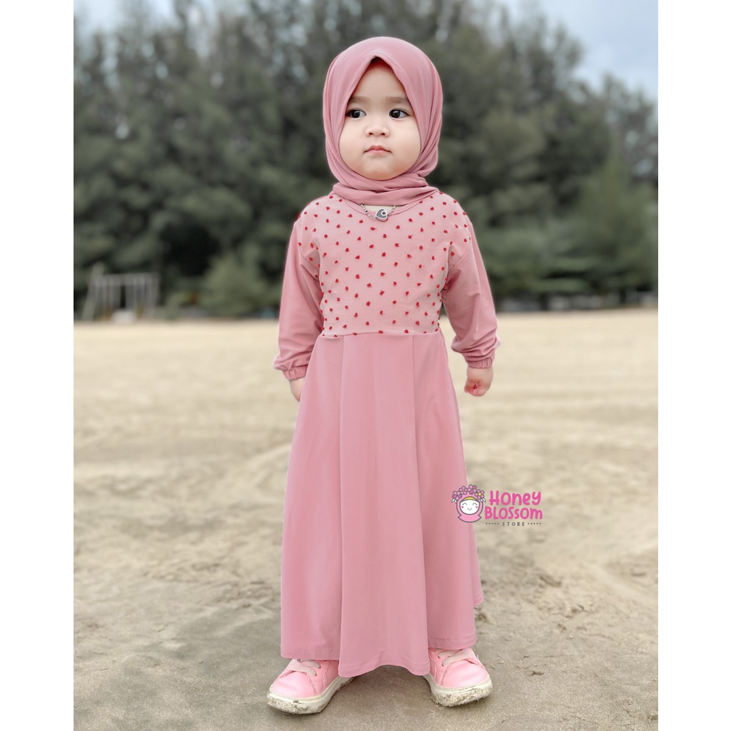 HONEYBLOSSOM gamis bayi / gamis bayi perempuan 0 6 bulan / gamis bayi perempuan alesha
