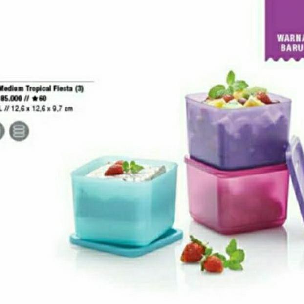 ✅Jual Medium Tropical Fiesta Summer Fresh Tupperware