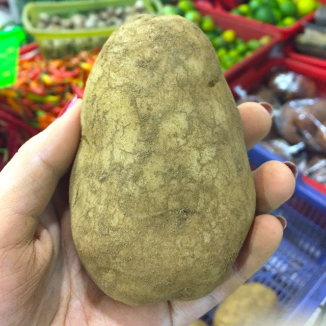 

Kentang 500 gram