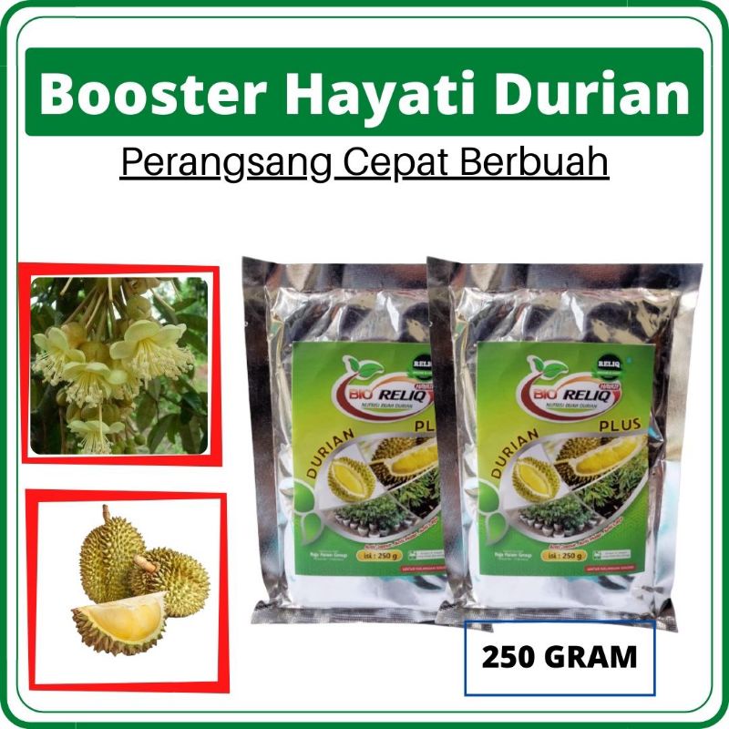 Pupuk Tanaman Durian Montong, Pupuk Booster Durian Montong