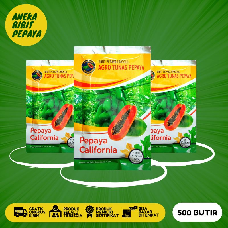 PEPAYA CALIFORNIA - BIBIT PEPAYA UNGGUL - AGRO TUNAS