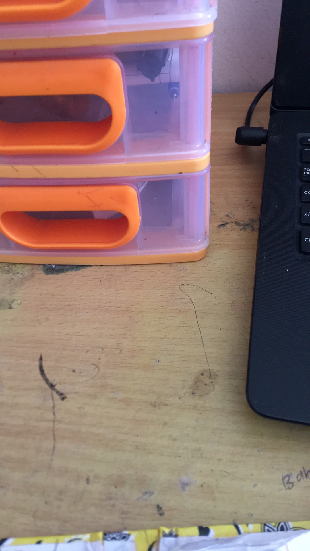 Sprei Homemade Termurah Motif Dewasa Anak Karakter Feather