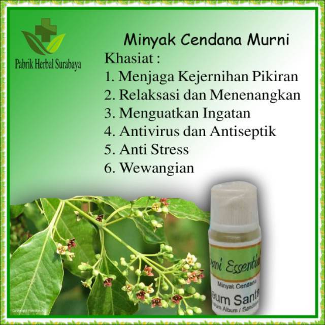 minyak cendana asli murni (kental seperti gel, bukan parfum)