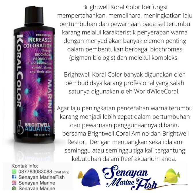 

BRIGHTWELL KORAL COLOR 500ml