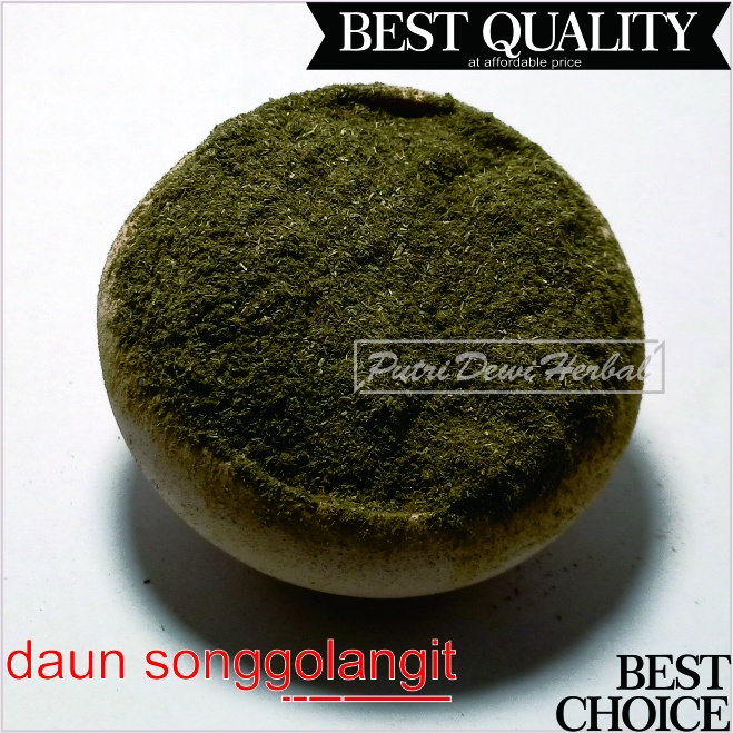 

Daun Songgolangit Bubuk 500 Gram - Tridax procumbens L. Gletang Serbuk | Coatbutton Trix Daisy Powder | katumpang gletangan cemondelan gobesan londotan prepes sanggalangit sidawala srunen tar-sentaran taroto