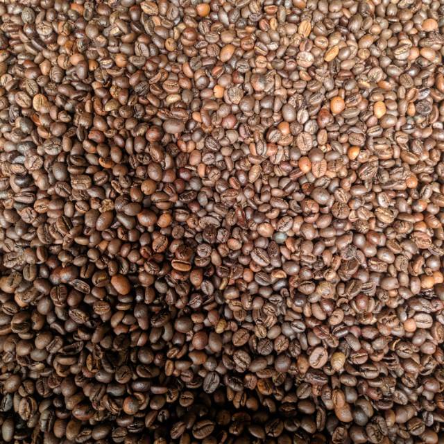 

10kg Roastedbean Roastbean Kopi Roasting Robusta Lampung