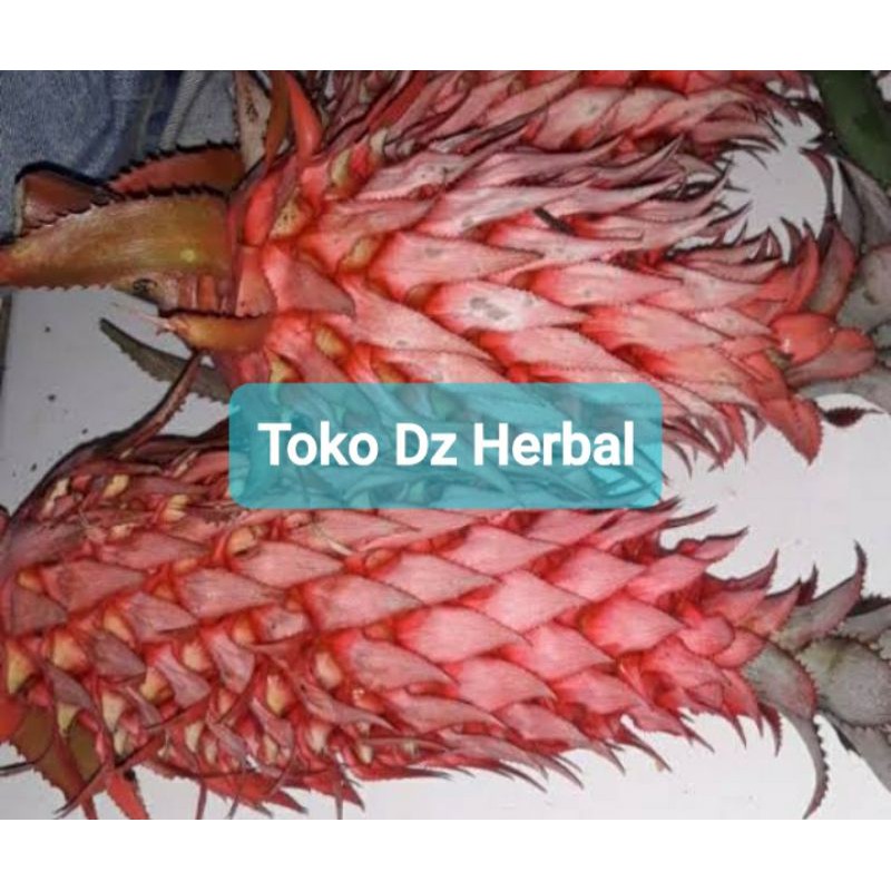 

Paket hemat 250 gram nanas merah nanas muda fresh petik langsung kirim