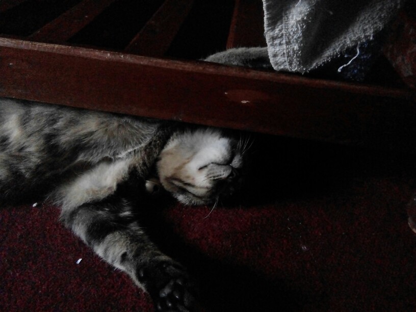 Promo Kemeja Batik Pria Lengan Panjang Masa Kini M L Xl Xxl