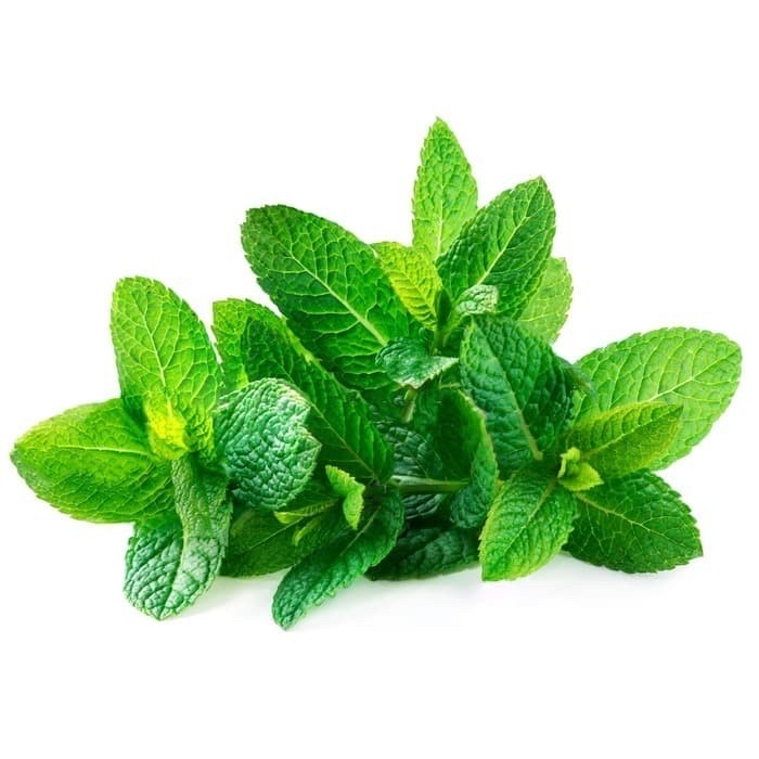 

Daun Mint Segar 100gr Daun Mint