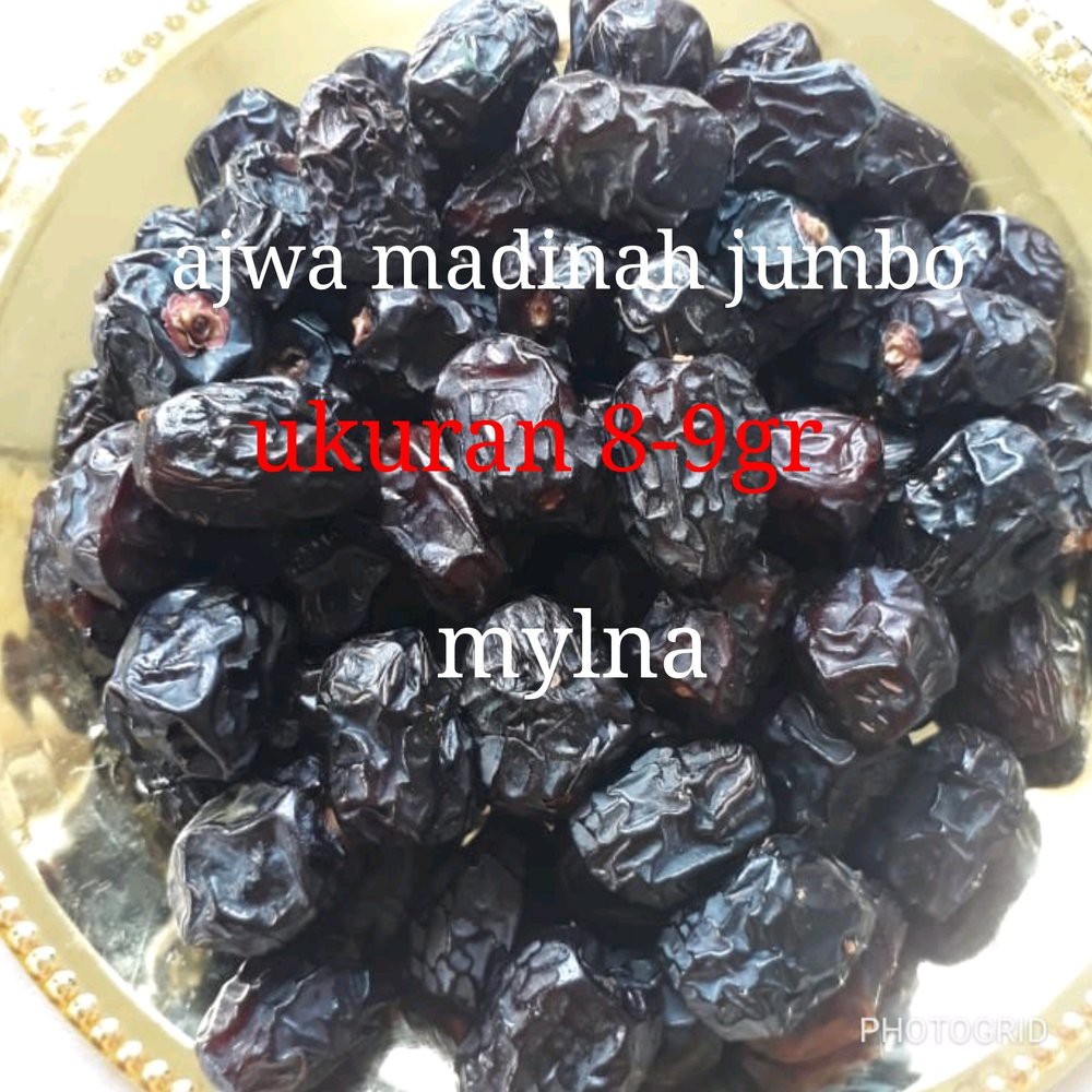 

kurma ajwa kurma nabi asli madinah besar jumbo 500 gt Best Quality