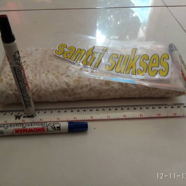 

Tempe kedelai mentah