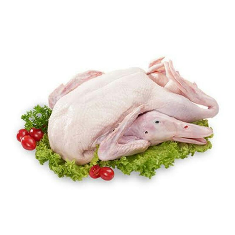 

bebek packing/ pedaging frozen 0,8 - 1,2 kg