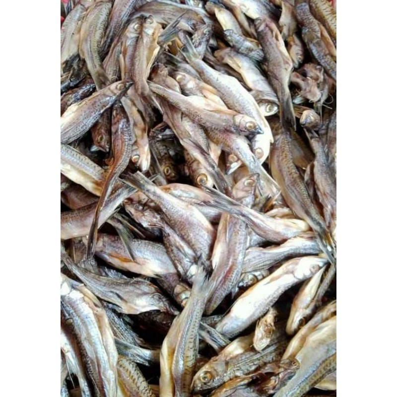 

ikan asin saluang