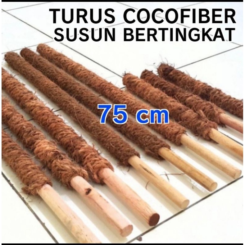 Tongkat Rambatan Cocofiber Alat Tiang Penyangga Tanaman Rambat Bertingkat 75cm