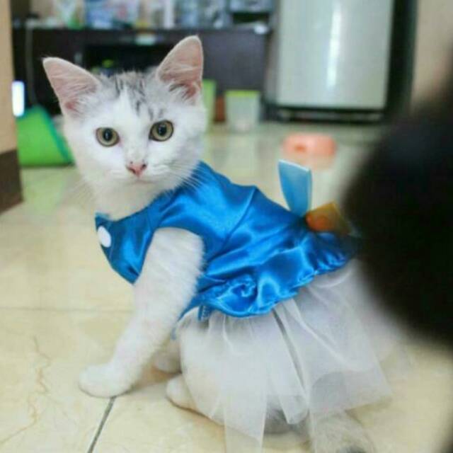 Baju Kucing / dress elsa frozen V. 2 / kucing / anjing / size S M L XL