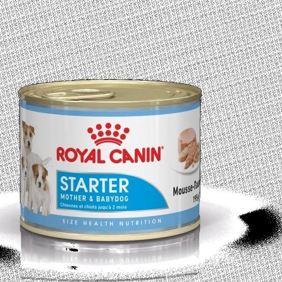 Royal canin Starter mousse Mother & baby dog