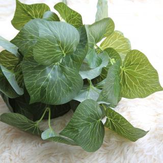 6 Magnolia Daun Tanaman Dinding Pas Simulasi Bunga 6 Magnolia Daun Tanaman Dinding Pas Simulasi Bunga