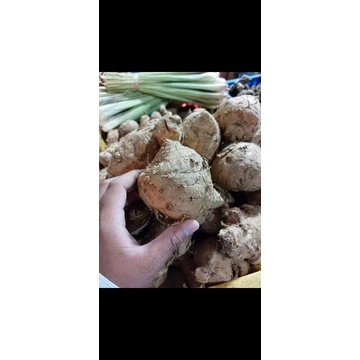 

Temulawak 2kg