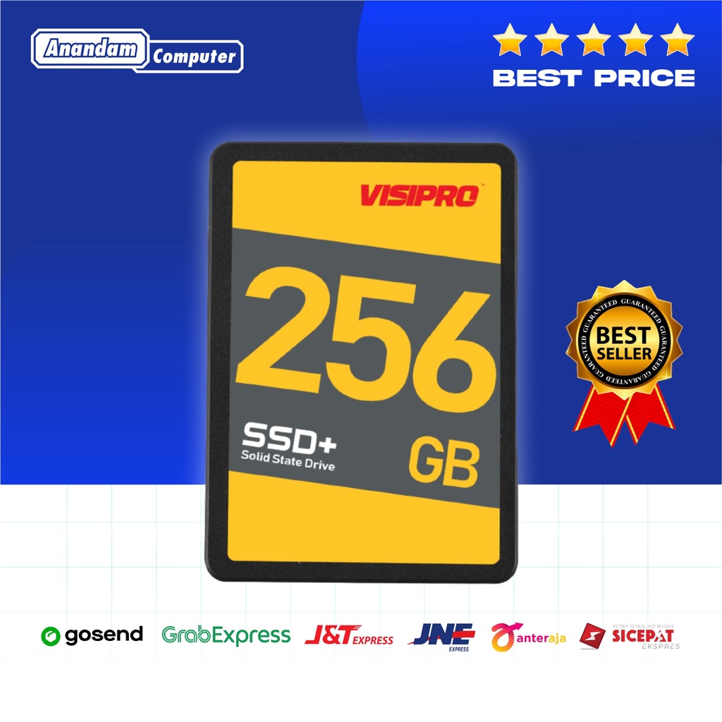 Visipro 256GB SSD