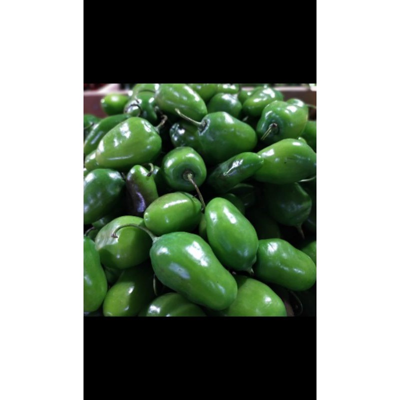 

Cabe gendot 250 gr