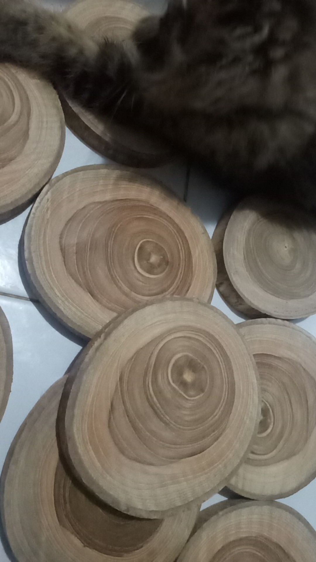 Wood Slice Potongan Kayu Jati Diameter 9 - 10 Cm