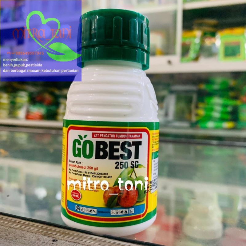 zpt paclobutrazol GOBEST 250SC isi 100ml dari PETROKIMIA KAYAKU