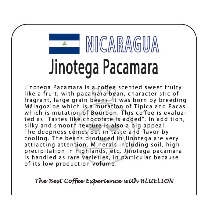 

vf0100f Nicaragua Jinotega Pacamara 200 Gr - Kopi Bluelion - Medium Roast - Biji Ds20X11