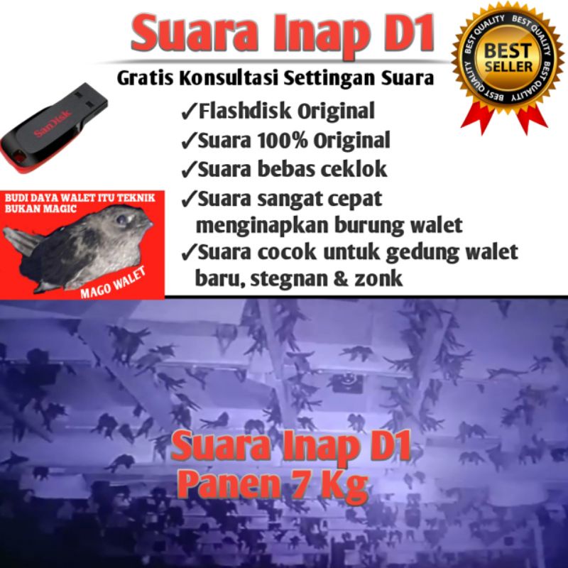 Suara Inap Walet