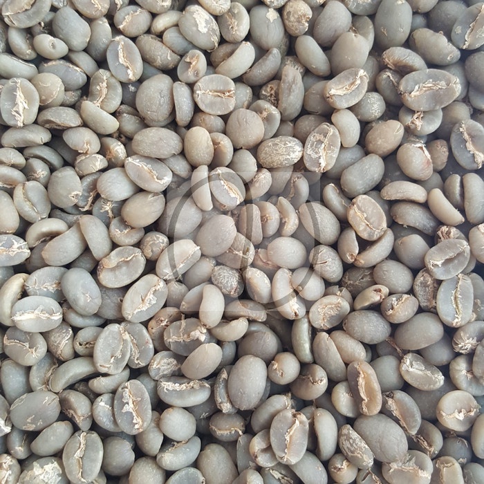 

Greenbean Kopi Arabica Kintamani Bali Semiwash - 1Kg 020