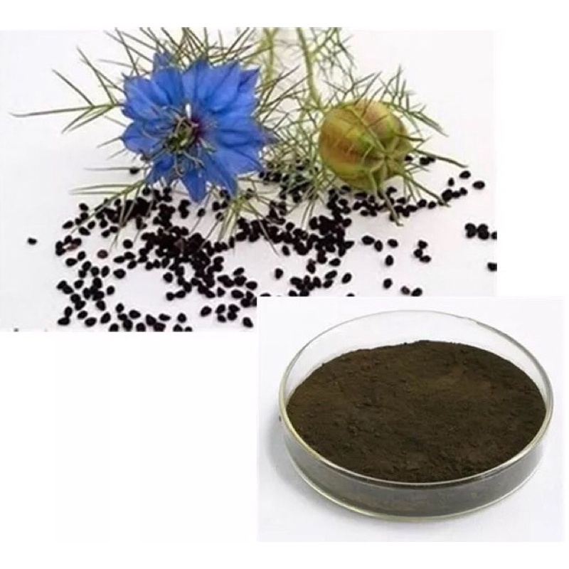 

jintan hitam habbatusauda bubuk 1 Kg