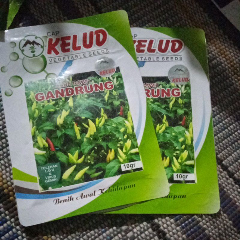 benih cabe rawit gandrung