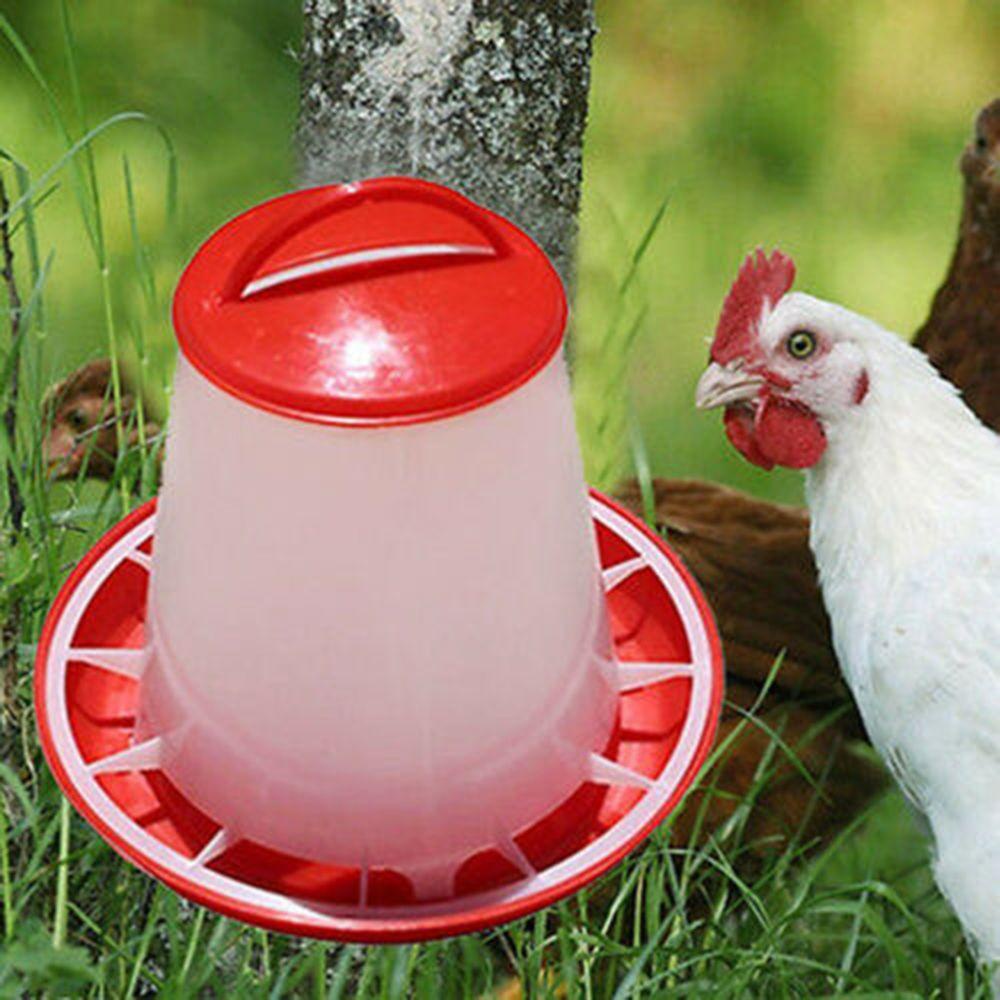Wonder Ember Petani Pakan Ayam Unggas Otomatis Makanan